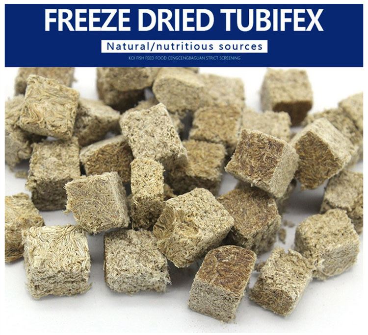 FD Tubifex Worms