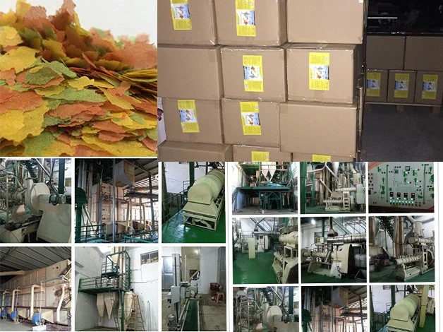 product detail and factory scale environment product detail and factory scale environment