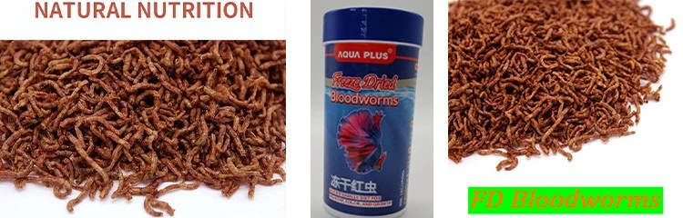 dried blood worms for fish dried blood worms for fish