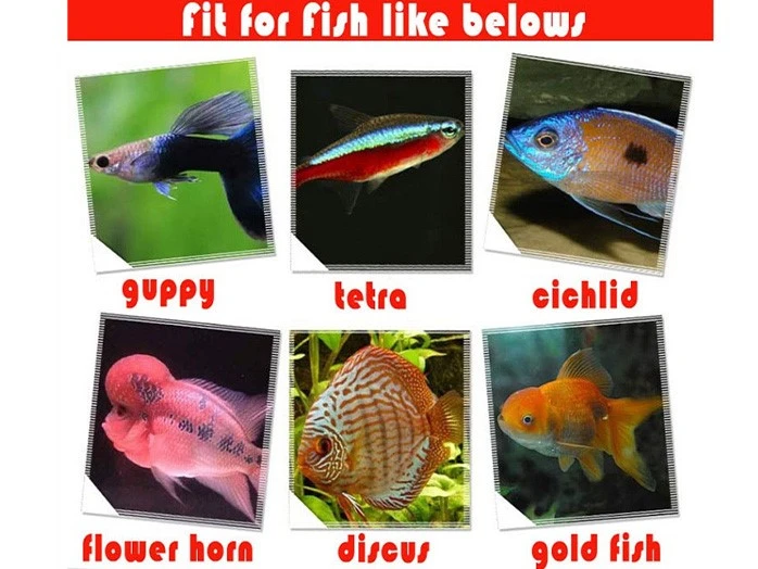 Suitable fish species Suitable fish species