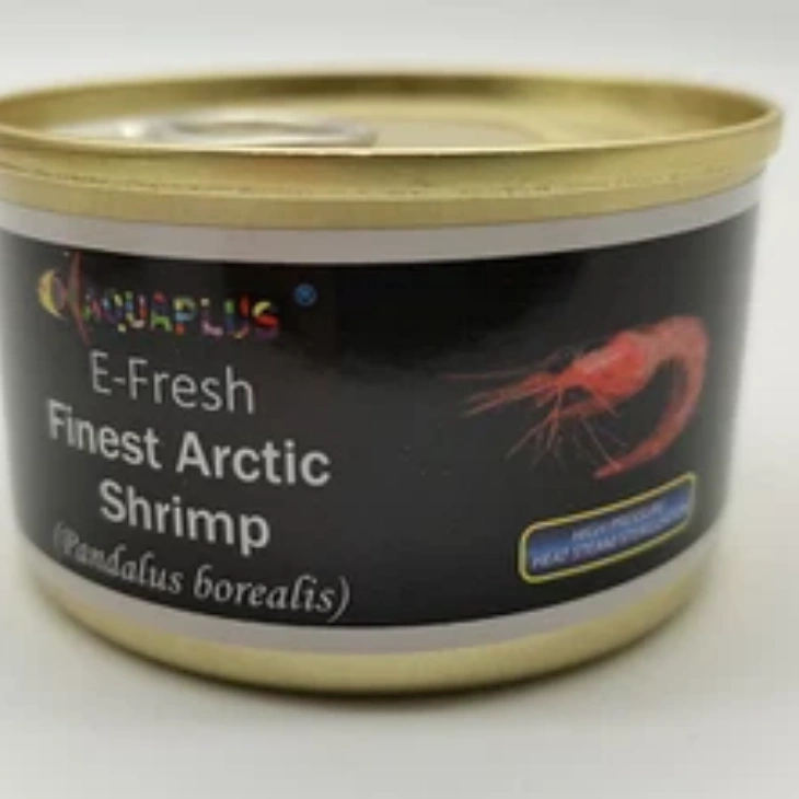Fresh Arctic Shrimp Fish Food best Fresh Arctic Shrimp Fish Food best